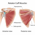 Visual of shoulder blades fromm beyond wellness, a chiropractic office in ashburn va